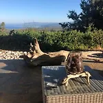 Kyparissia De Wandelboom Casa de Férias Vrises (Kiparissia)
