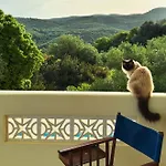 Kyparissia De Wandelboom Vrises (Kiparissia)