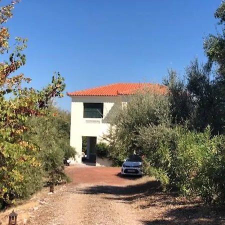 Kyparissia De Wandelboom