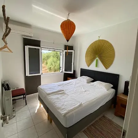 Kyparissia De Wandelboom *