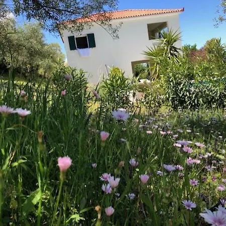 Kyparissia De Wandelboom *