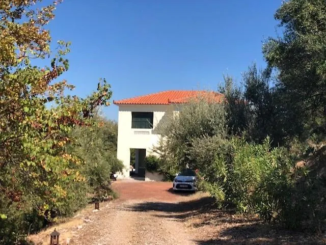 Kyparissia De Wandelboom