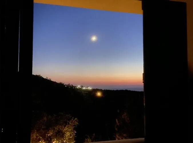 Kyparissia De Wandelboom *