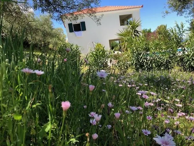 Kyparissia De Wandelboom *