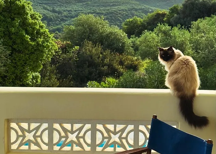 Kyparissia De Wandelboom Vrises (Kiparissia)