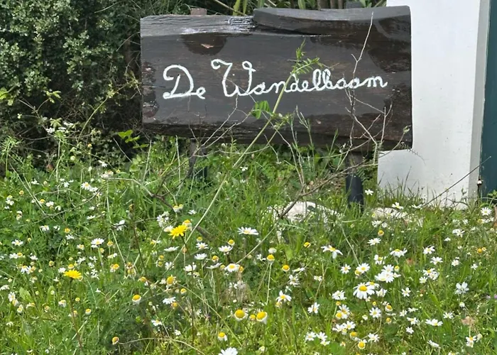 Kyparissia De Wandelboom